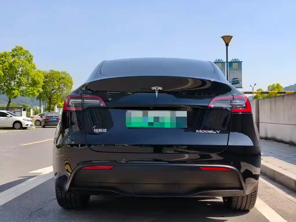Tesla Model Y — фото 9