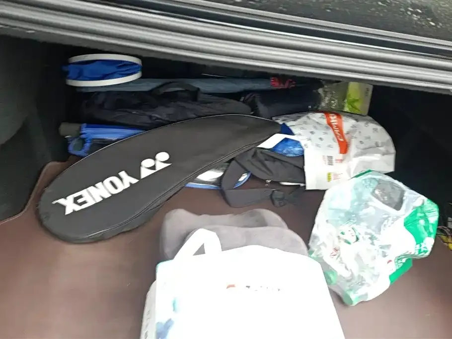 Ford Taurus 2021 из CN, фото 4