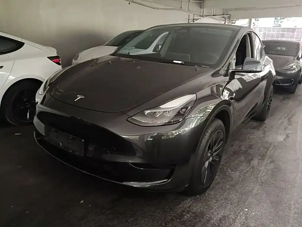 Tesla Model Y — фото 10