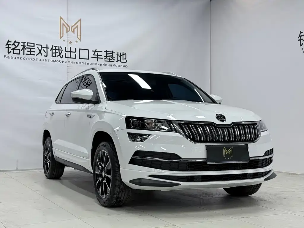Skoda Karoq — фото 8