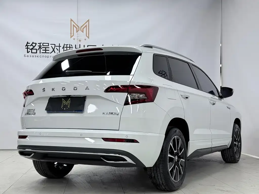 Skoda Karoq — фото 6