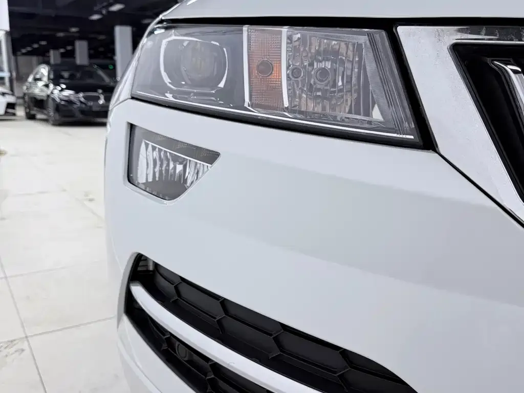 Skoda Karoq — фото 7