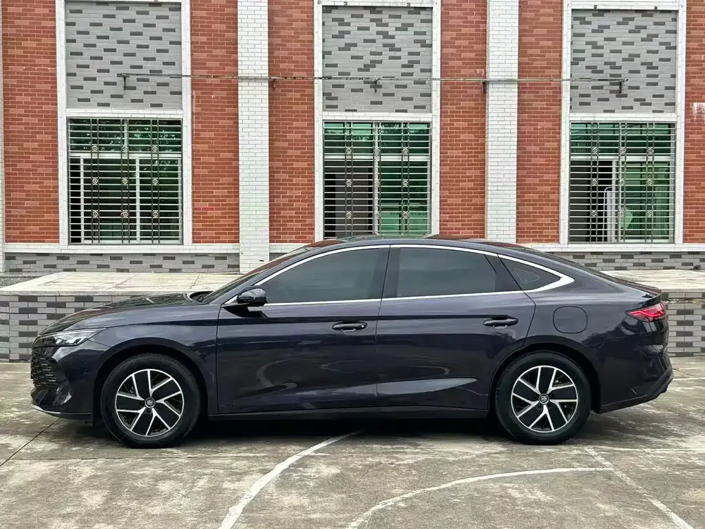 BYD Qin L — фото 6