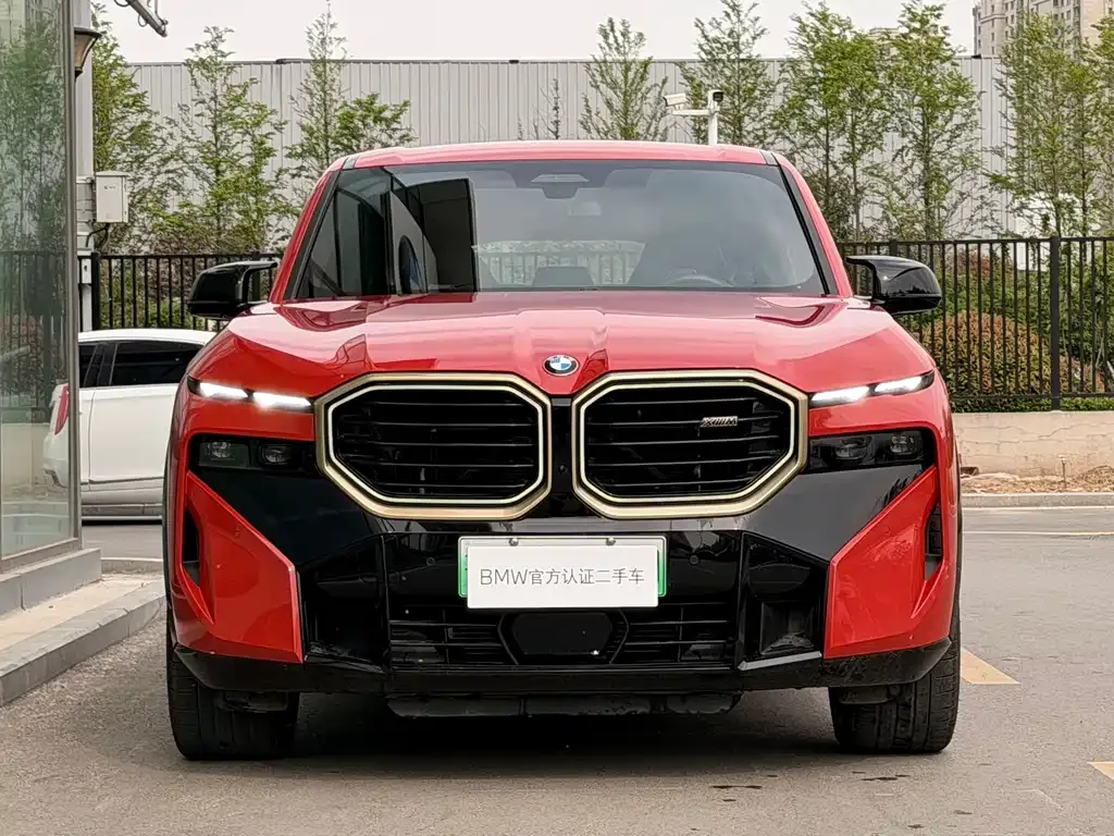 BMW XM — фото 6
