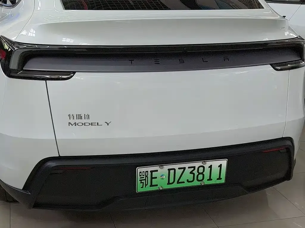 Tesla Model Y — фото 2