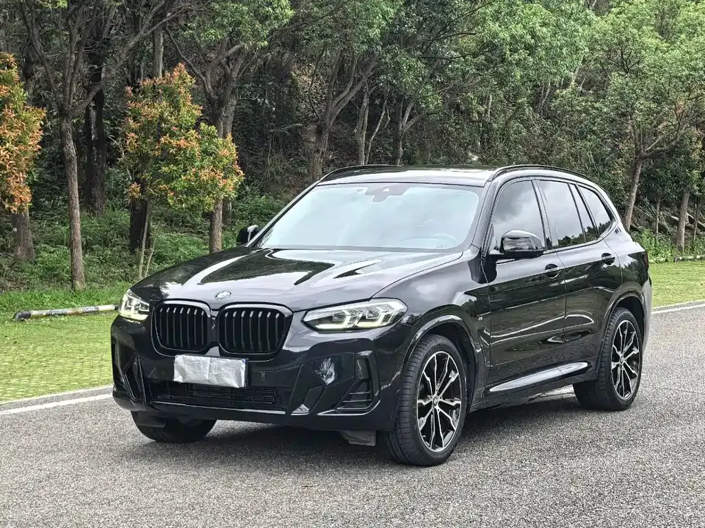 BMW X3 — фото 1