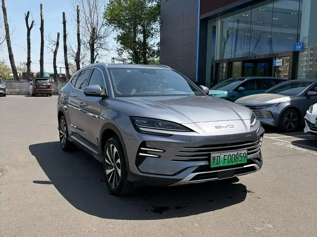 BYD PLUS New Energy — фото 4