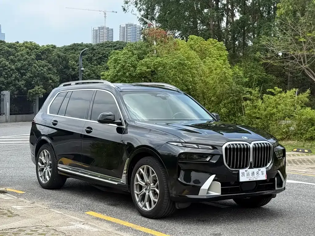 BMW X7 — фото 9