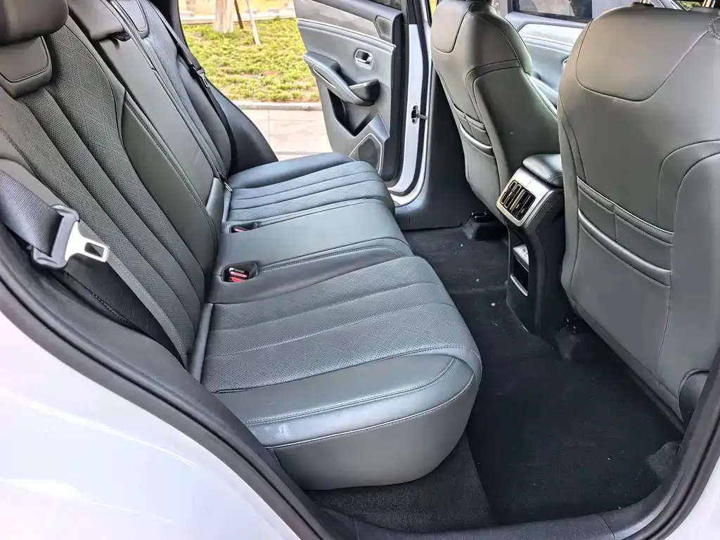 BYD L DM-i — фото 3