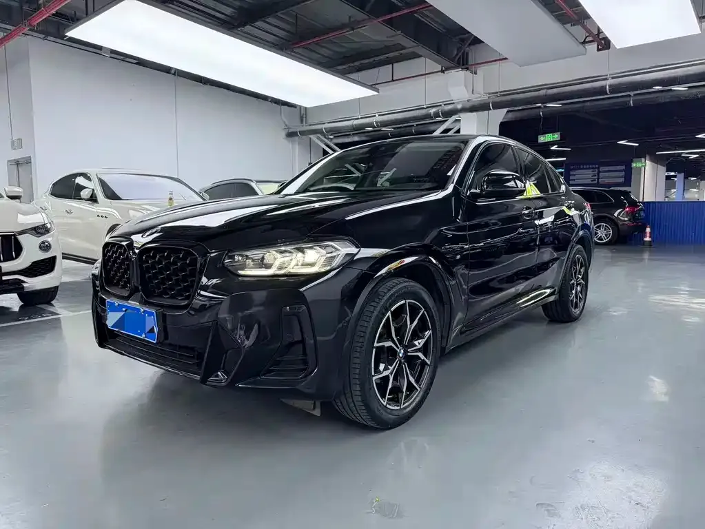 BMW X4 — фото 1