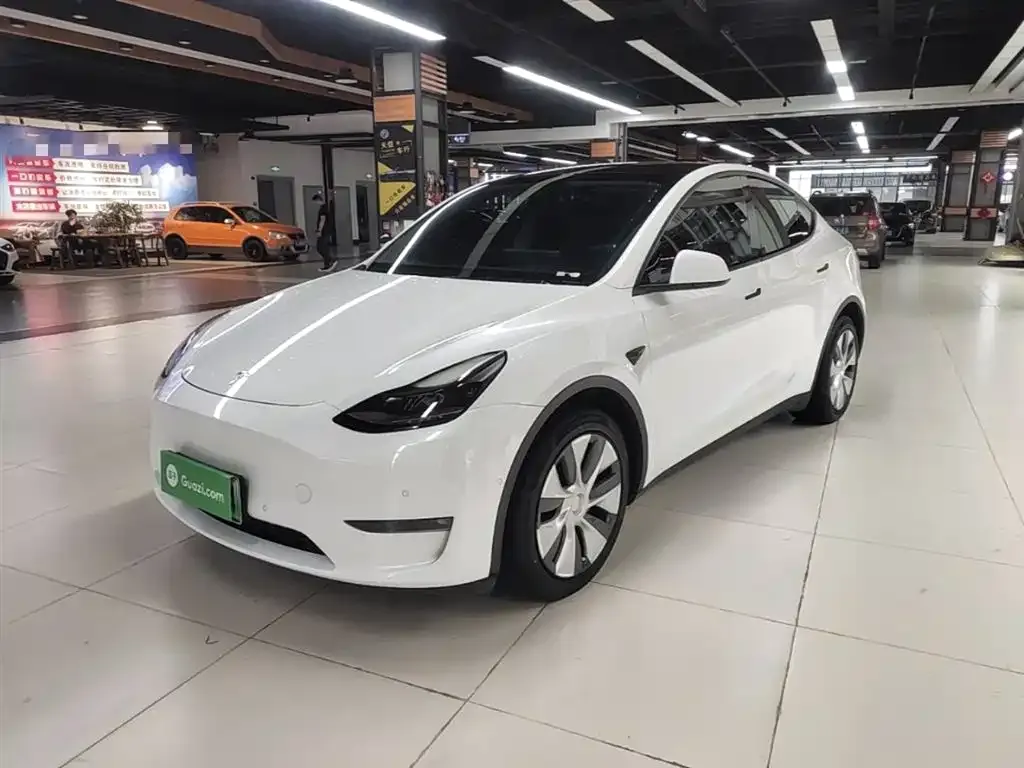 Tesla Model Y — фото 1