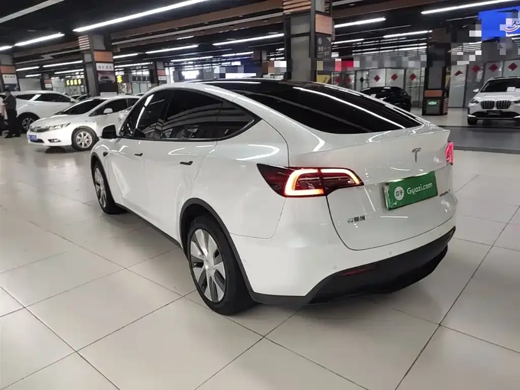 Tesla Model Y — фото 9