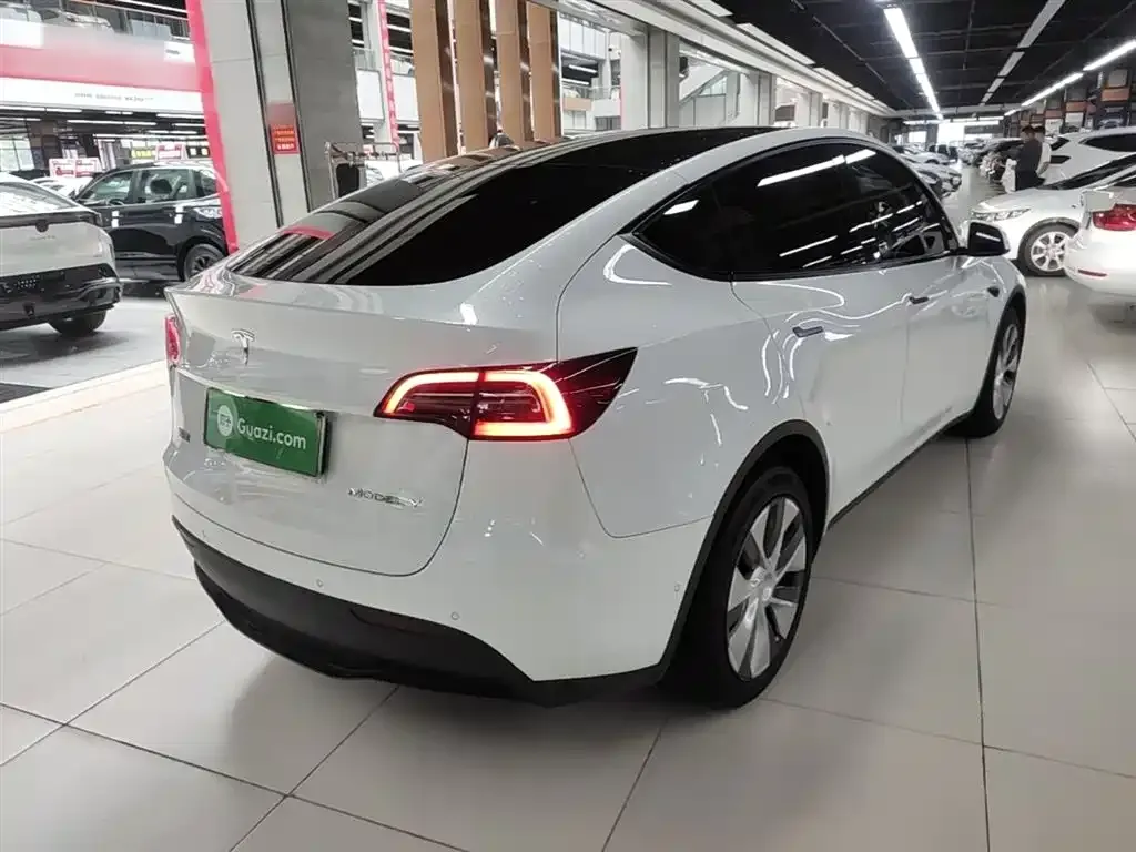 Tesla Model Y — фото 10