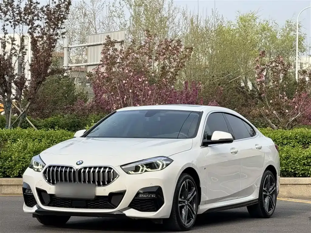 BMW 2 Series (Import) — фото 9