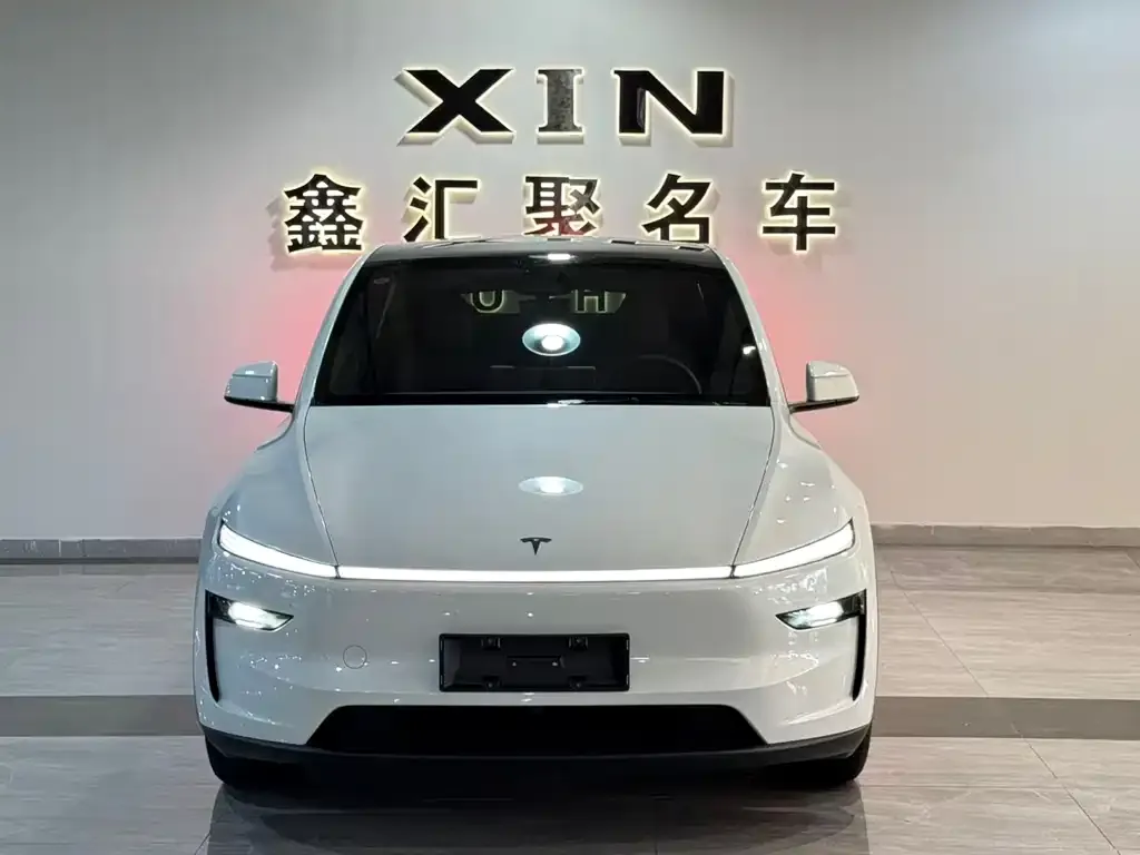 Tesla Model Y — фото 2