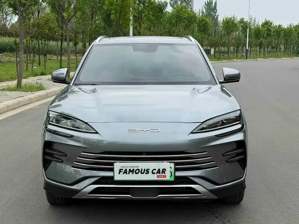 BYD PLUS New Energy 2024 из CN, фото 5