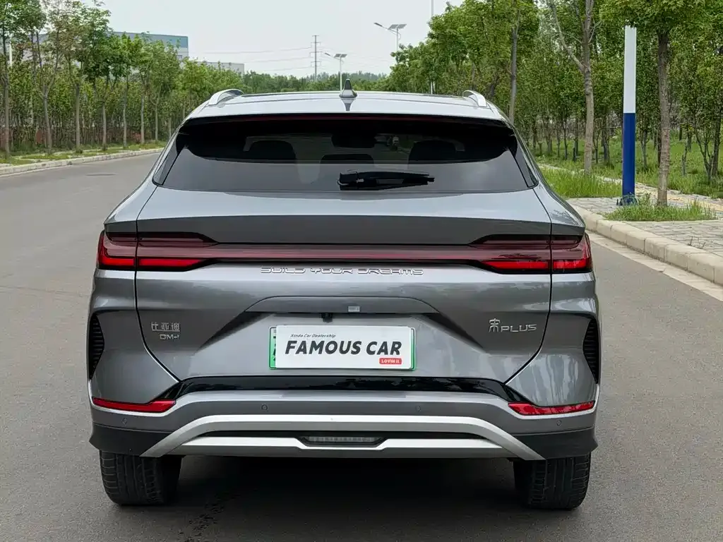 BYD PLUS New Energy 2024 из CN, фото 6