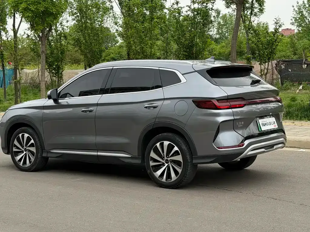 BYD PLUS New Energy 2024 из CN, фото 8