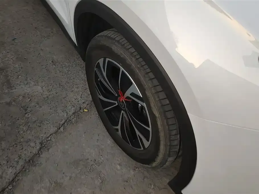 BYD Pro New Energy — фото 10