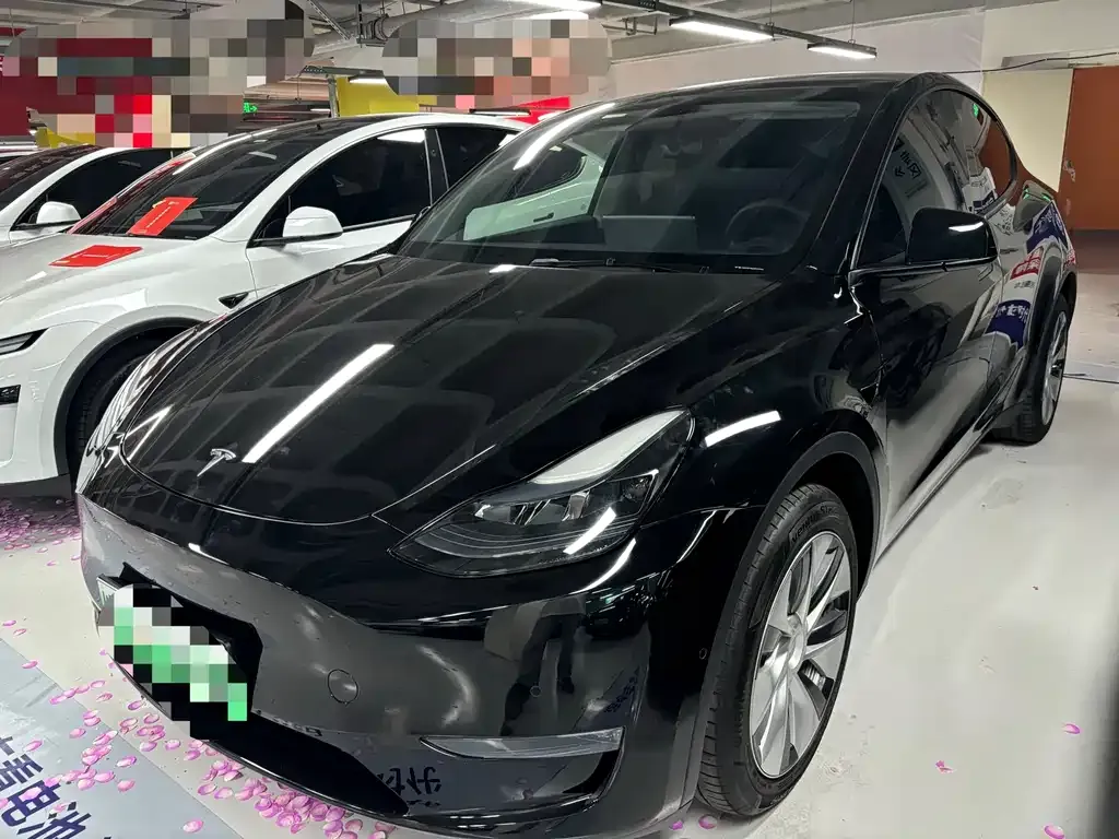 Tesla Model Y — фото 1