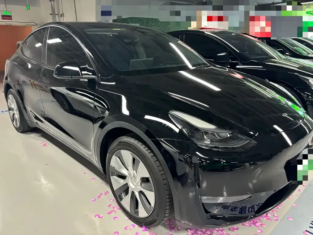 Tesla Model Y — фото 7