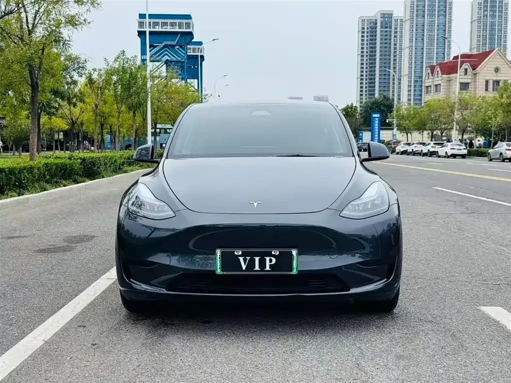 Tesla Model Y — фото 6