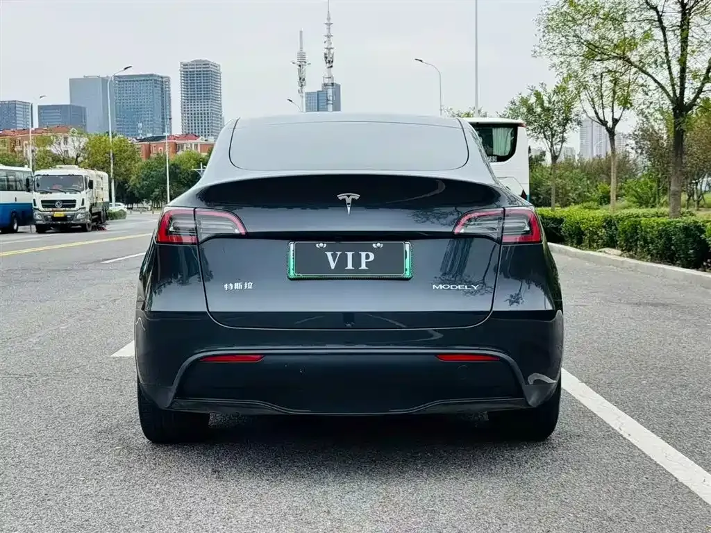 Tesla Model Y — фото 9