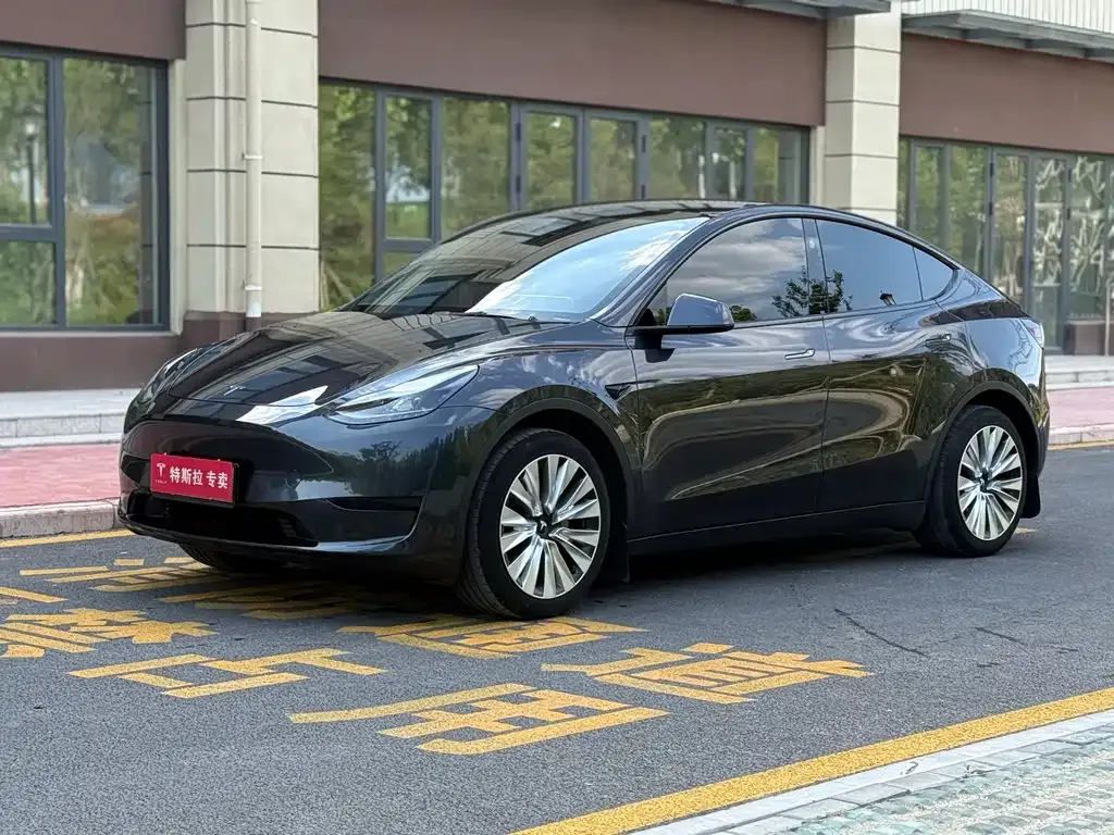 Tesla Model Y — фото 1