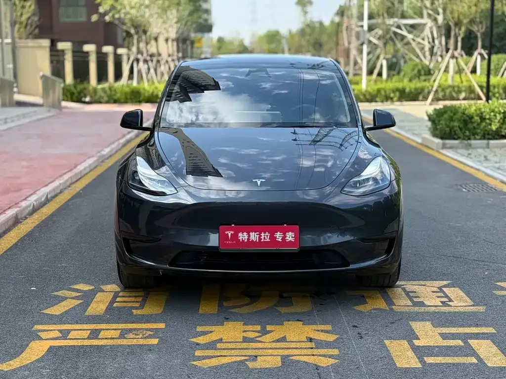 Tesla Model Y — фото 7