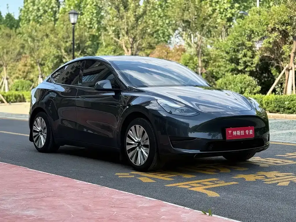 Tesla Model Y — фото 8
