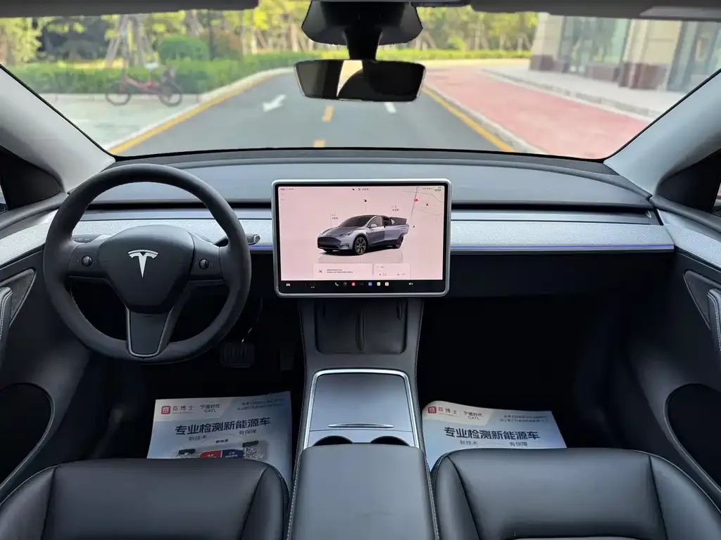 Tesla Model Y — фото 2