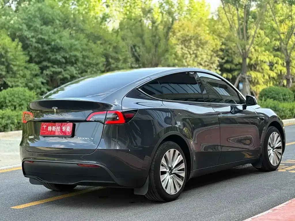 Tesla Model Y — фото 9