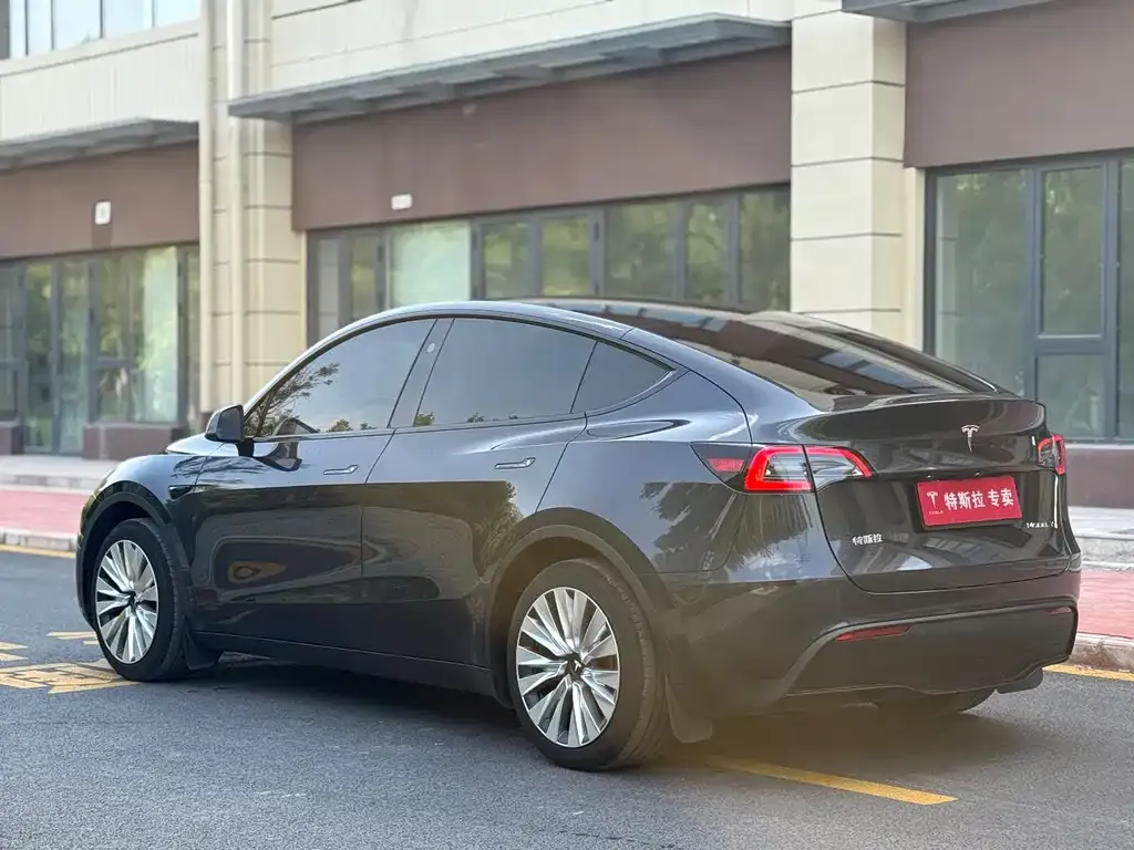 Tesla Model Y — фото 6