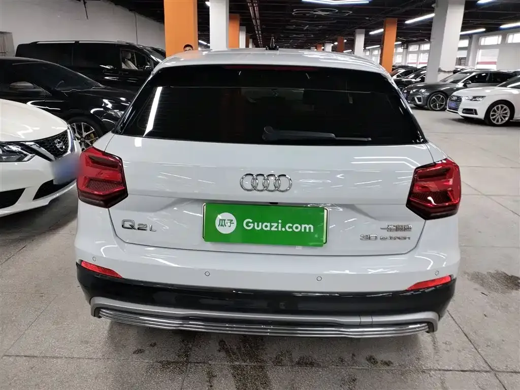Audi Q2L e-tron 2021 из CN, фото 4