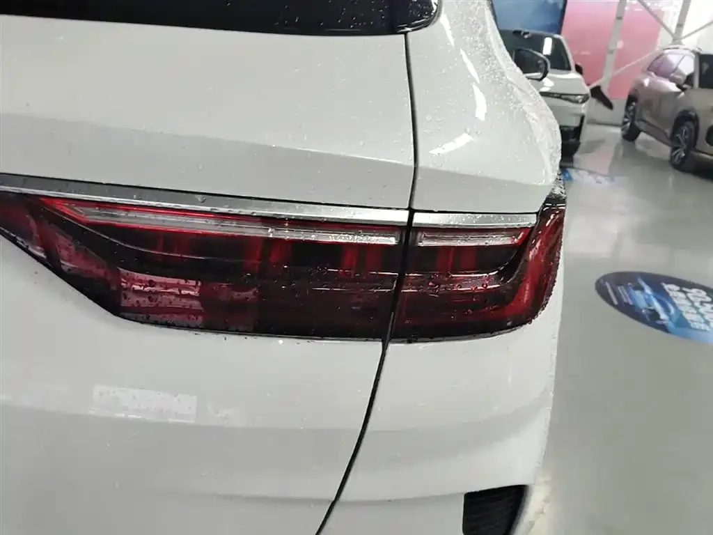 BYD PLUS New Energy — фото 8