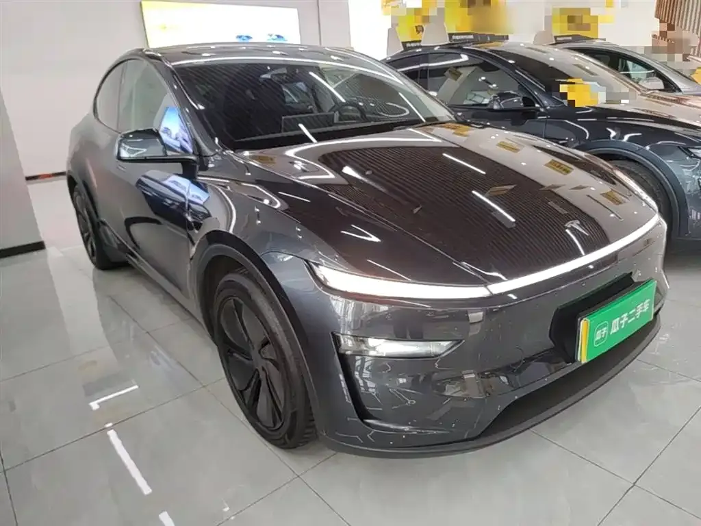 Tesla Model Y — фото 10