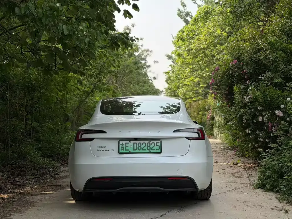 Tesla Model 3 — фото 7