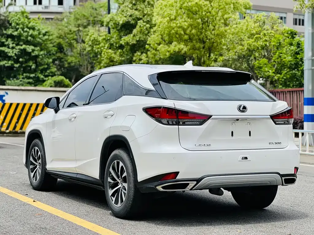 Lexus RX — фото 5