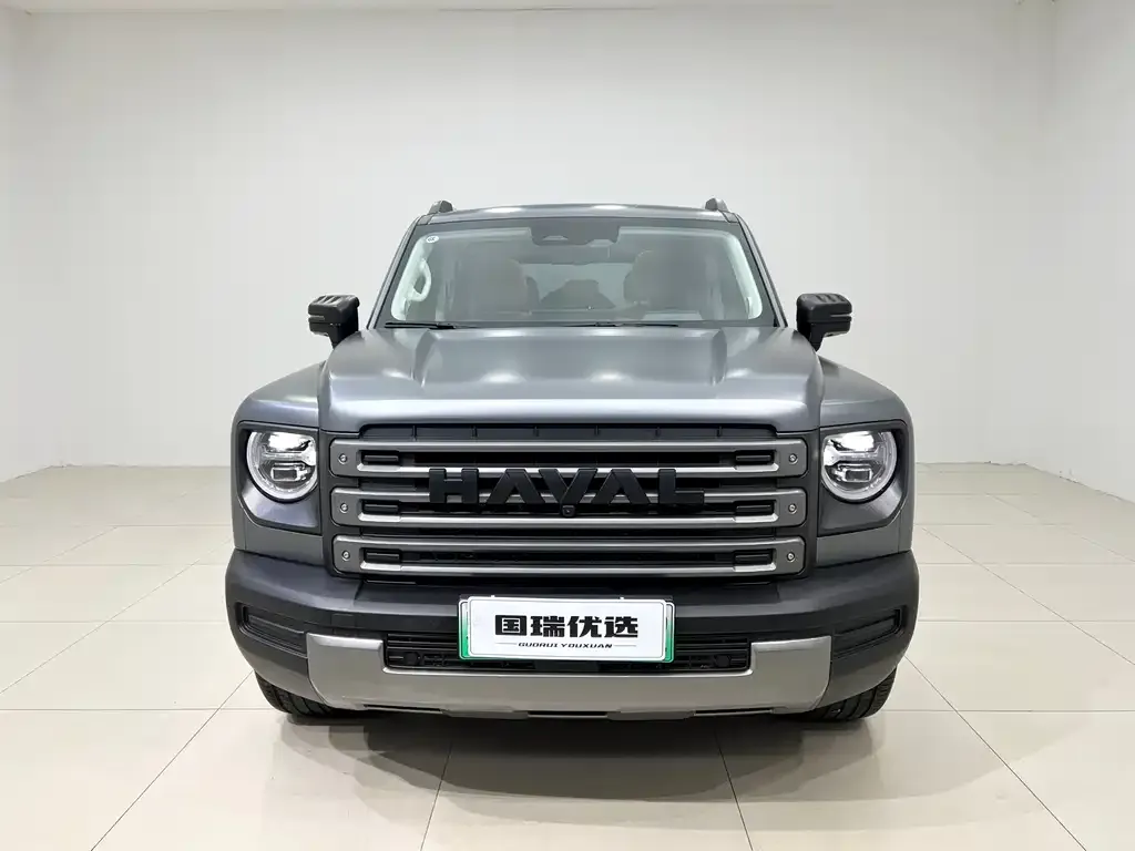 Haval Menglong New Energy 2024 из CN, фото 7