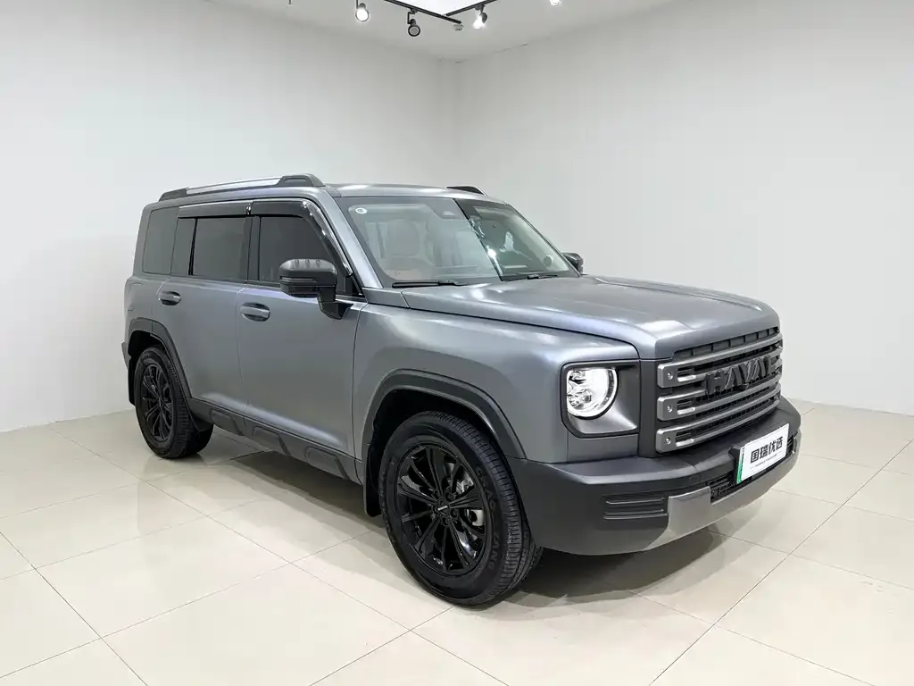 Haval Menglong New Energy 2024 из CN, фото 3