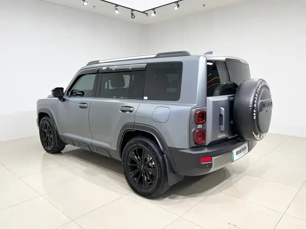 Haval Menglong New Energy 2024 из CN, фото 2