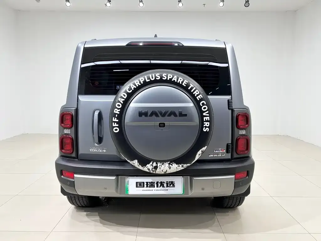 Haval Menglong New Energy 2024 из CN, фото 8