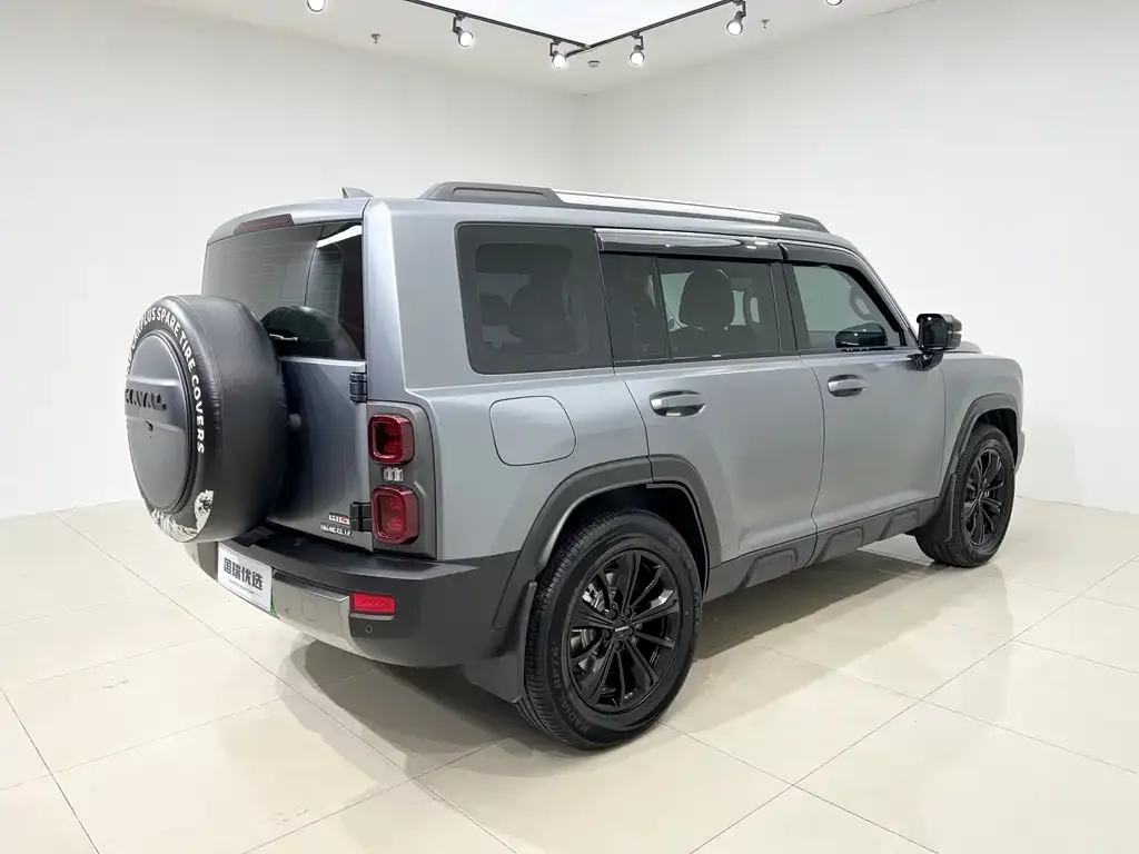 Haval Menglong New Energy 2024 из CN, фото 5