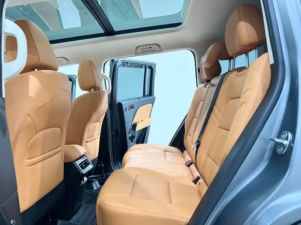 Haval Menglong New Energy 2024 из CN, фото 6