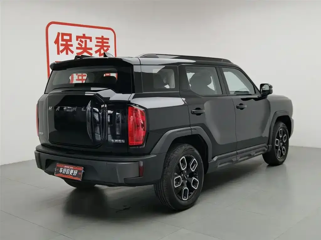 Haval Cool Dog 2023 из CN, фото 5