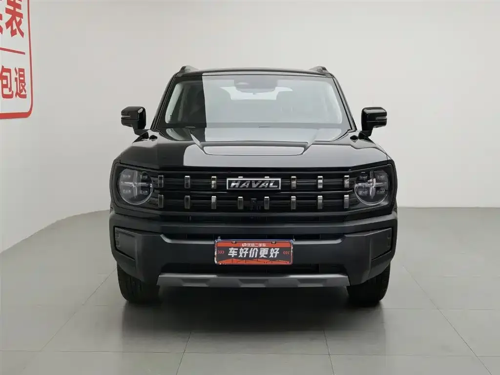 Haval Cool Dog 2023 из CN, фото 4
