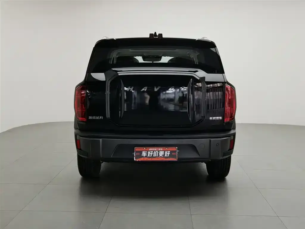Haval Cool Dog 2023 из CN, фото 2