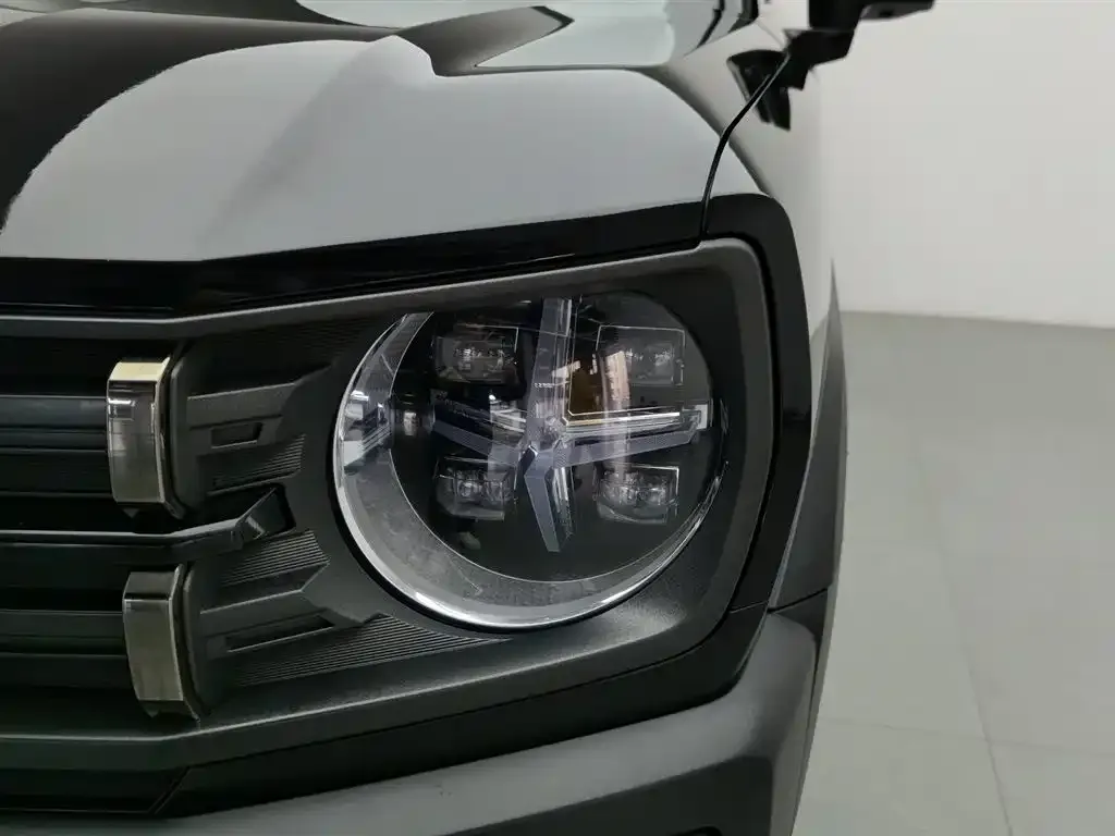Haval Cool Dog 2023 из CN, фото 8