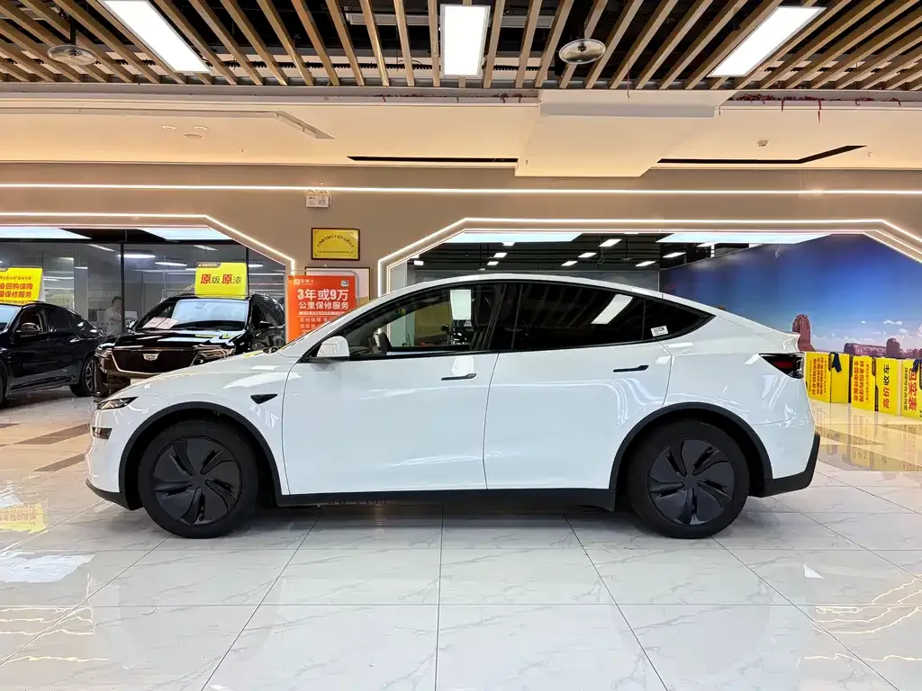 Tesla Model Y — фото 6