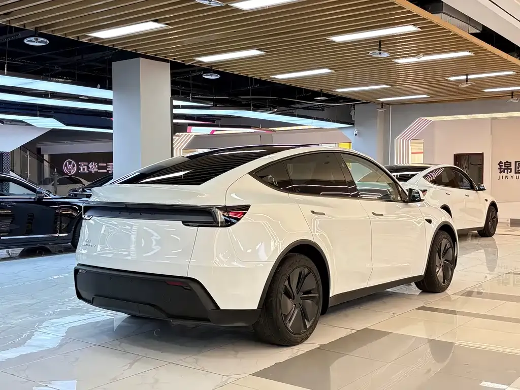 Tesla Model Y — фото 8